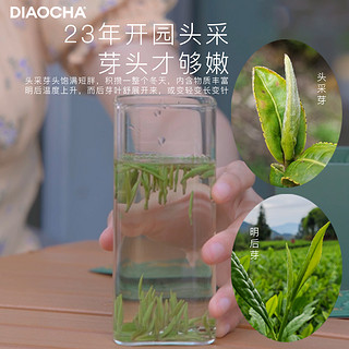 DIAOCHA 调茶 明前雀舌23年新茶绿茶真头采嫩芽茶原叶小袋茶 14袋