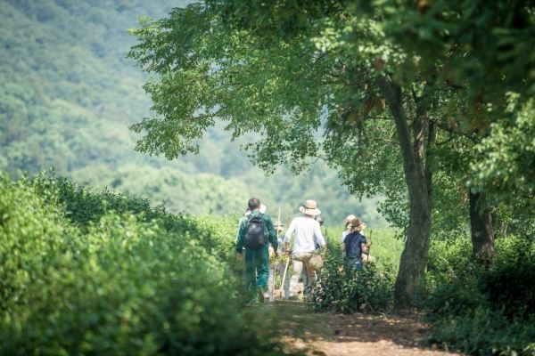 现实版山水画！富春山居度假酒店 园景客房2晚连住套餐（含双早+龙井小罐茶饮欢迎礼+旅拍等）