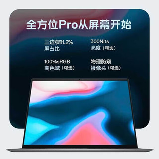 戴尔（DELL）14Pro 成就3400 14英寸酷睿i5轻薄本商务办公学生手提笔记本电脑 石英灰 MX350-2G独显 16G内存 512G固态 定制