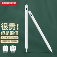 斯泰克 电容笔iPad手写笔苹果触控倾斜加粗防误触pencil平板适用iPad10.2/Pro11/8/air4/mini5绘画笔