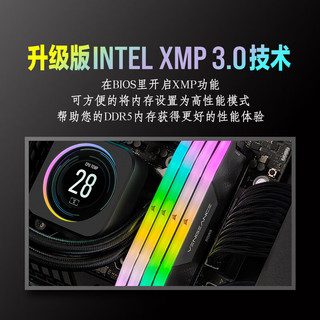 美商海盗船 32GB(16G×2)套装 DDR5 6200 台式机内存条 复仇者RGB灯条 黑色