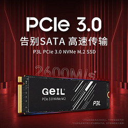 Geil/金邦P3L 固态硬盘 1TB M.2 NVME 电竞 台式机 性价比推荐款