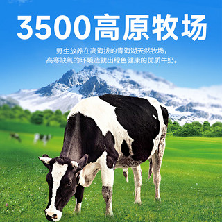 青海湖 藏酸奶450g  原味低温风味发酵乳  青藏高原鲜活菌 低温奶