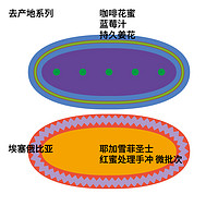 治光师咖啡埃塞俄比亚咖啡豆耶加雪菲圣士红蜜手冲咖啡豆单品100g