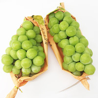 果沿子 新鲜阳光玫瑰葡萄 2斤装