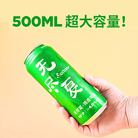 PANDA BREW 熊猫精酿 无尽夏 陈皮啤酒500ml*6瓶