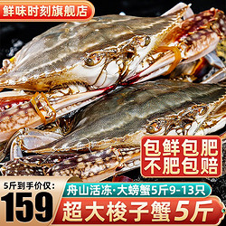 鲜味时刻 舟山超大梭子蟹新鲜蟹活冻大螃蟹冰鲜飞蟹花盖蟹生鲜 蟹类 5斤9-13只