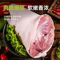 LONG DA 龙大 肉食 猪肘子1kg