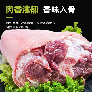 肉食 猪肘子1kg