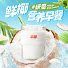 南国海南特产纯椰子粉速溶冲饮椰奶椰汁椰浆粉袋装
