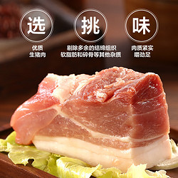 WONG'S 王家渡 眉州东坡小炒肉150g半成品方便菜速冻菜肴加热即食料理包一人食