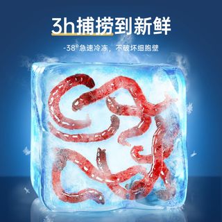 yee 意牌 红虫冰冻鱼粮牛心汉堡七彩龙鱼新鲜红线虫水蚤丰年虾罗汉鱼食