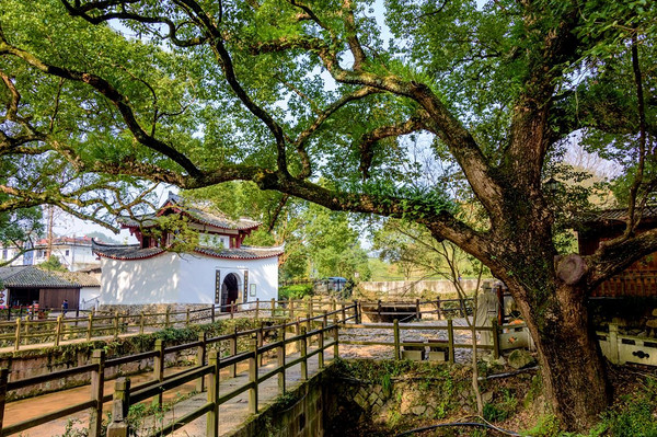 江南最后的秘境终于藏不住了!丽水万地温德姆至尊酒店多种房型套餐1晚含早+必玩景区门票