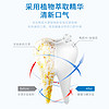 植物萃取牙膏清新去口气口腔清洁家庭装