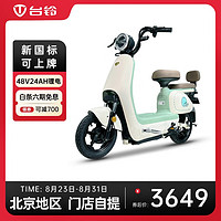 台铃M511L-G电动自行车48V24AH锂电新国标（到店选颜色）