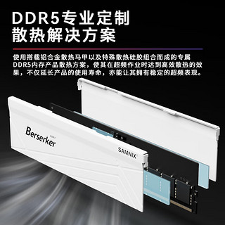 新乐士（SAMNIX）DDR5 5600 7200台式机内存条狂刃战士海力士A-die超频游戏 32G（16Gx2）6800 C34/XMP白