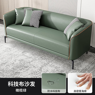 岸茂 布艺沙发网红轻奢两人位沙发 橄榄绿科技布(升级海绵版) 双人位124CM(加2抱枕)