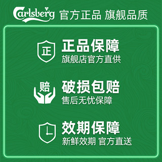 Carlsberg 嘉士伯 风花雪月特酿啤酒 500ml*12罐