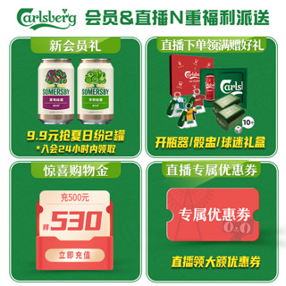 Carlsberg 嘉士伯 风花雪月特酿啤酒 500ml*12罐