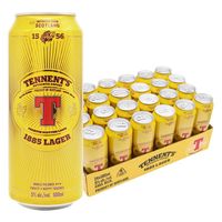 英国精酿啤酒替牌啤酒500ml*6听