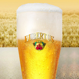 狩猎神（Hubertus）白啤酒568ml*24听 整箱装 德国