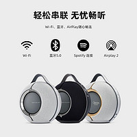 DEVIALET 帝瓦雷 Mania帝瓦雷狂潮 高保真蓝牙音箱 户外便携式音响 深黑色