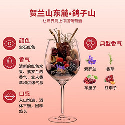 XIGE ESTATE 西鸽酒庄 红酒中国宁夏贺兰山东麓干红葡萄酒锦羽赤霞珠红酒 香叶红葡萄酒750ml*6瓶