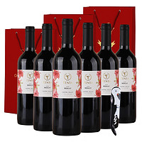 天帕（TENTA）智利中央山谷原瓶进花标梅洛干红葡萄酒750ml*6瓶整箱 梅洛13.5度