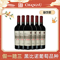 张裕葡萄酒送老师商务多名利黑比诺干红宁夏贺兰山产区750ml 13度