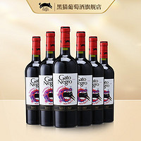 GatoNegro 黑猫 智利黑猫  智利红酒 赤霞珠西拉混酿半甜型红葡萄酒750ml 6瓶整箱装