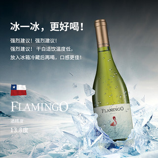 pasmon flamingo 帕斯蒙火烈鸟 智利白葡萄酒整箱