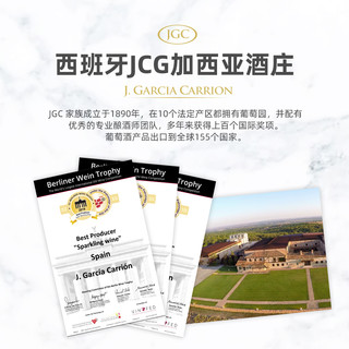 起泡酒甜酒葡萄酒女士减糖冰爽气泡酒果酒红酒香槟瓶2支礼盒水果