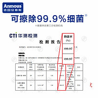 Anmous 安慕斯 湿厕纸便携小包厕所洁厕湿巾私处擦屁股女士专用单片独立装100片