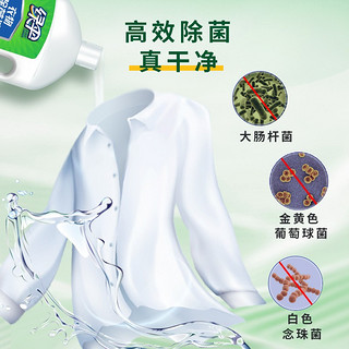 EVER GREEN 绿伞 包邮绿伞衣物除菌液柠檬清香1.8kg*2瓶家居衣物洗衣杀菌液非消毒