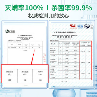 伽玛衣物除菌液清新柠檬2L洗衣杀菌100%除螨持久留香去渍洗衣服内衣裤 2L*1瓶