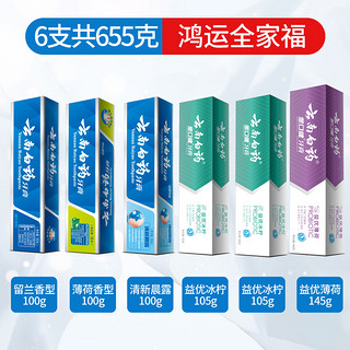 云南白药 牙膏 留兰香全家福家庭装6支 655g 送4支牙刷