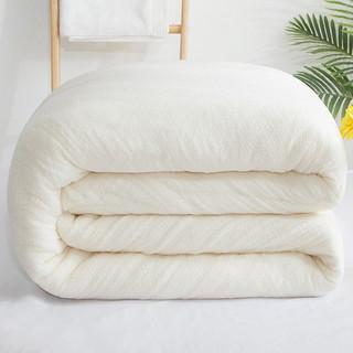 AIDLI 棉花被新疆棉被棉絮春秋被子冬天四季棉胎 棉花-3斤 200x230cm