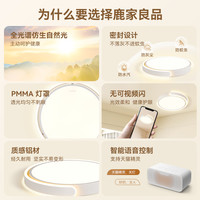 鹿家良品主卧室吸顶灯现代简约北欧极简客厅餐厅书房阳台创意灯具