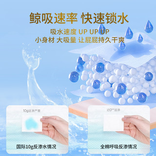 婴儿铂金拉拉裤4片 体验装