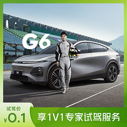 XIAOPENG MOTORS 小鹏汽车 G6新能源汽车买车专家试驾 电动汽车新车买车SUV买车 G6