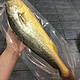 新鲜大黄花鱼  3条 单条400-500克  顺丰冷链
