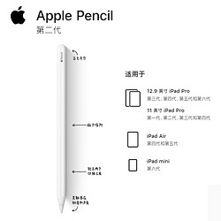 Apple 苹果 Pencil苹果原装二代笔适用21/22/20款11-12.9英寸iPad ProAir5,4 mini6触控