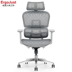 Ergojust 爱高佳 R10人体工学椅 灰网/黑网低配版