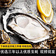 峰贝 山东大生蚝鲜活特大生鲜 新鲜牡蛎海蛎子 海鲜水产贝类 烧烤食材 3XL号净4.5斤(约12-18只）
