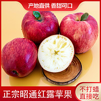 昭阳红 云南昭通丑苹果3斤红露当季新鲜时令水果苹果冰糖心孕妇散装应当季
