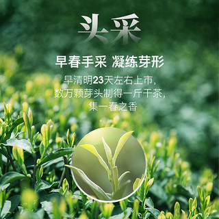 EFUTON 艺福堂 2024新茶艺福堂茶叶春茶绿茶明前特级碧螺春高山原产50g