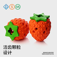 梅花脚 mewajump小狗宠物玩具藏食磨牙洁齿小型幼犬泰迪柯基金毛耐咬解闷