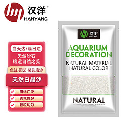 HANYANG 汉洋 白晶沙 20-40目颗粒1kg 细砂 鱼缸底砂 龟缸水族箱造景 多肉装饰