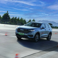 HAVAL 哈弗 H6新能源