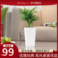 Lechuza 进口花盆环保树脂德国自动上水透气迷你型智能桌面种植盆
